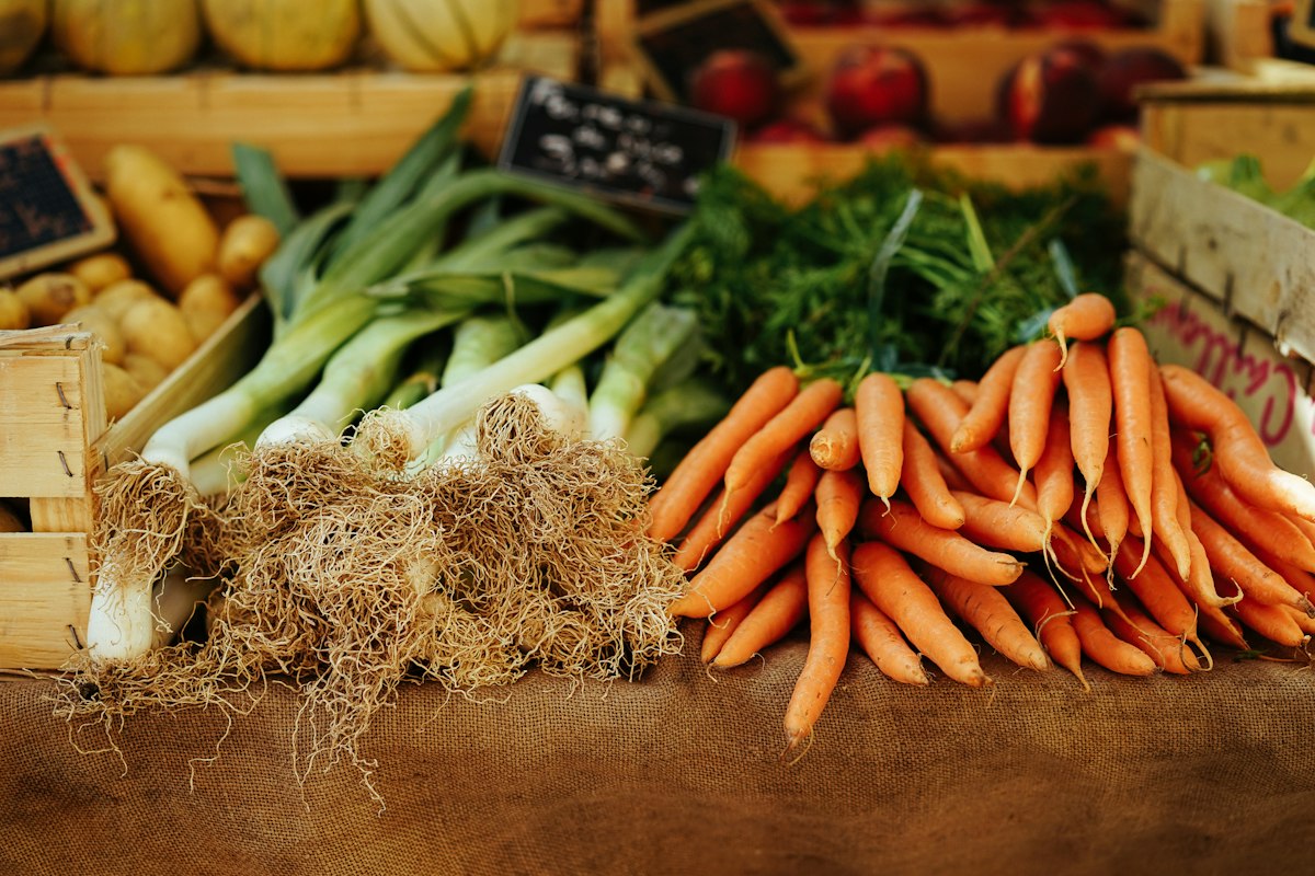 Nutrición saludable y equilibrada
